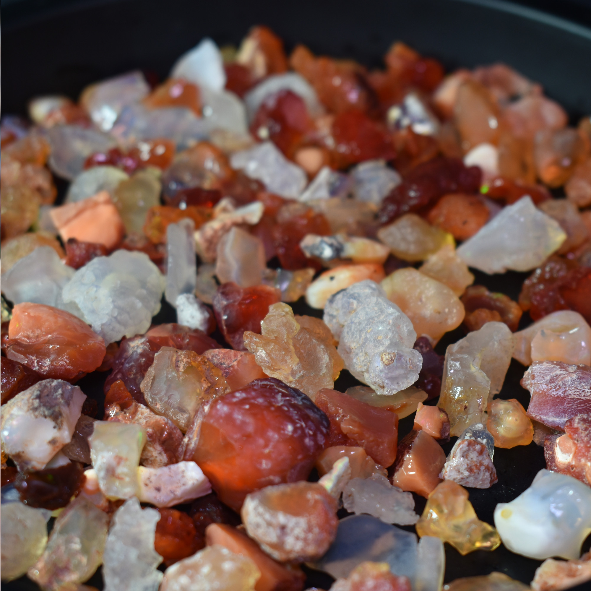 Mexican Rough Fire Opal Specimen Chips / Stones - 20 or 50 carats