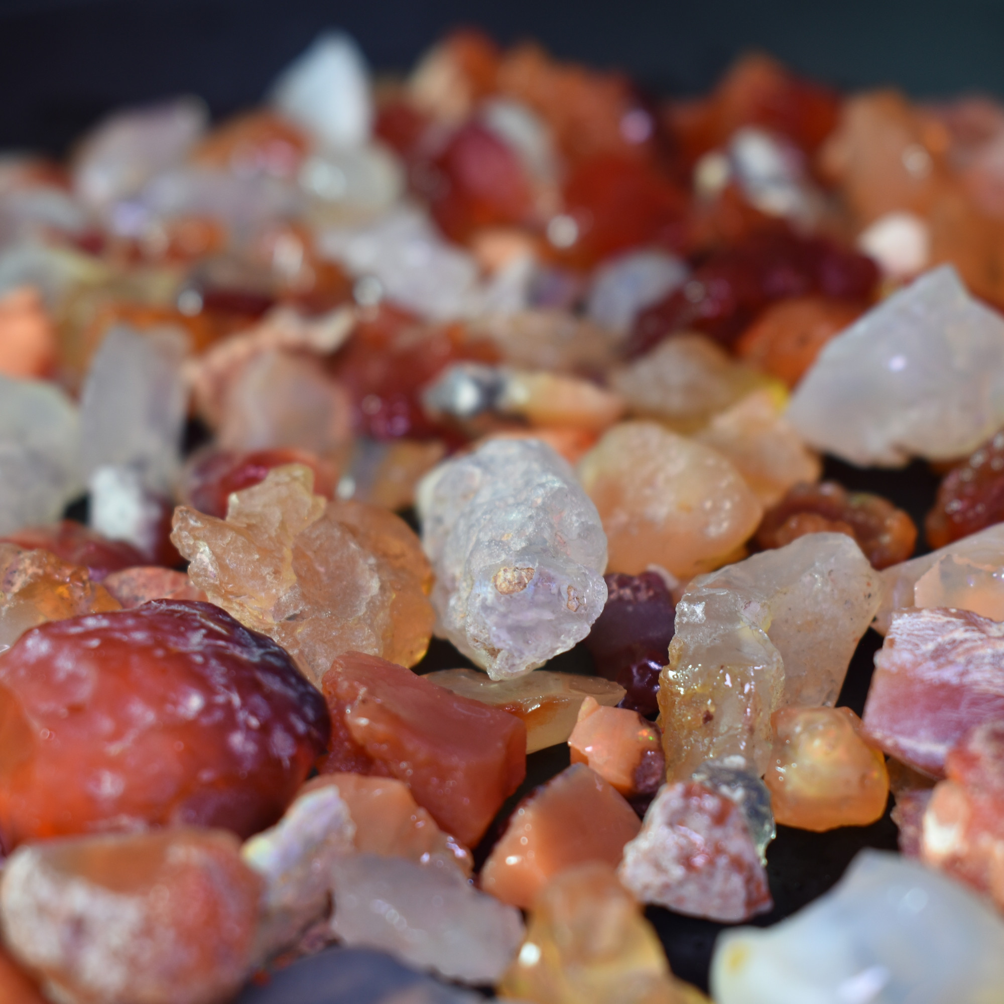 Mexican Rough Fire Opal Specimen Chips / Stones - 20 or 50 carats - Image 2