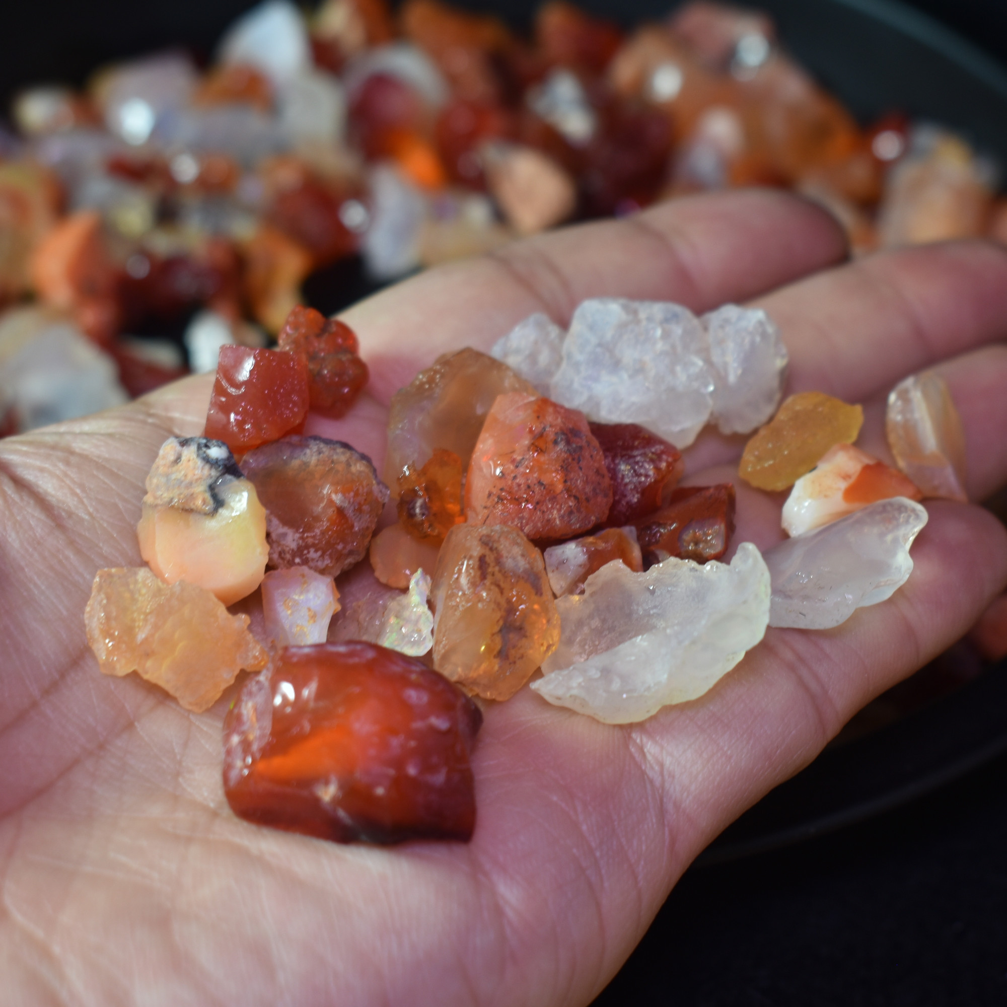 Mexican Rough Fire Opal Specimen Chips / Stones - 20 or 50 carats - Image 3