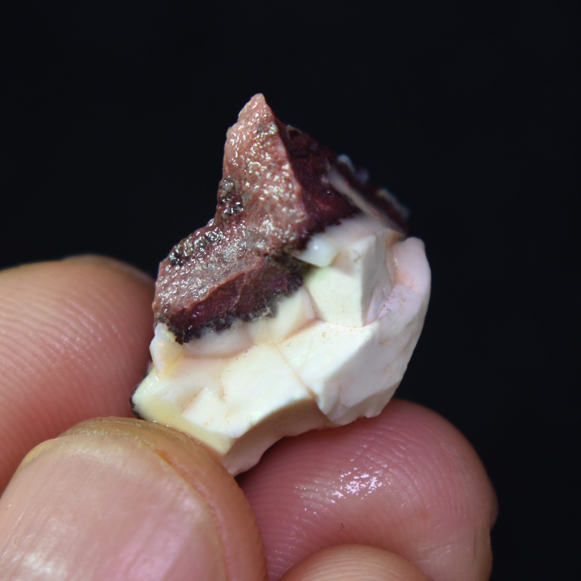 Mexican Rough Raw Fire Opal in Matrix Specimen Stones - 25ct #32 - Image 5