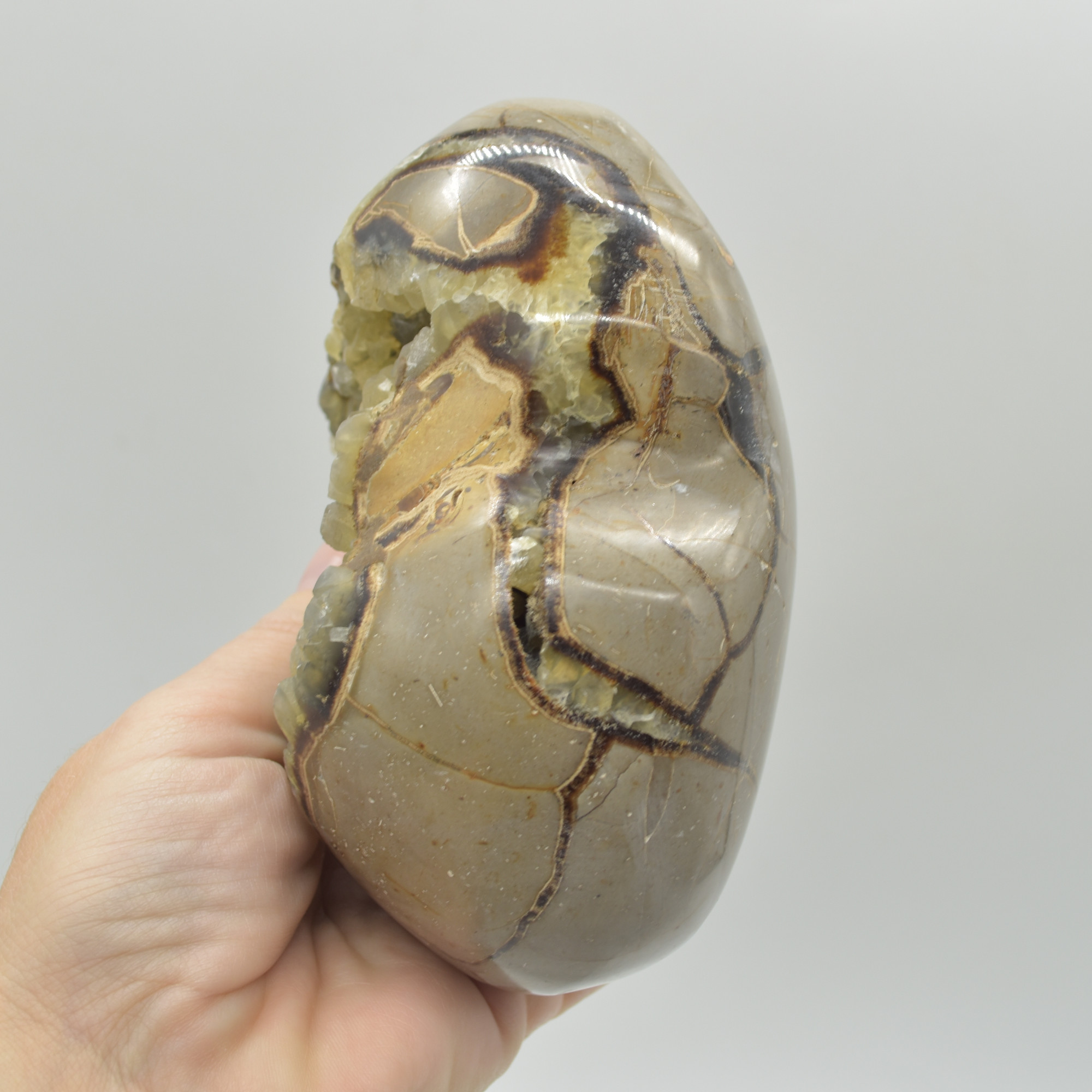 Large Septarian (AKA Dragon Stone) Crystal Puffy Heart - 10.5cm - 1160 grams #03 - Image 3