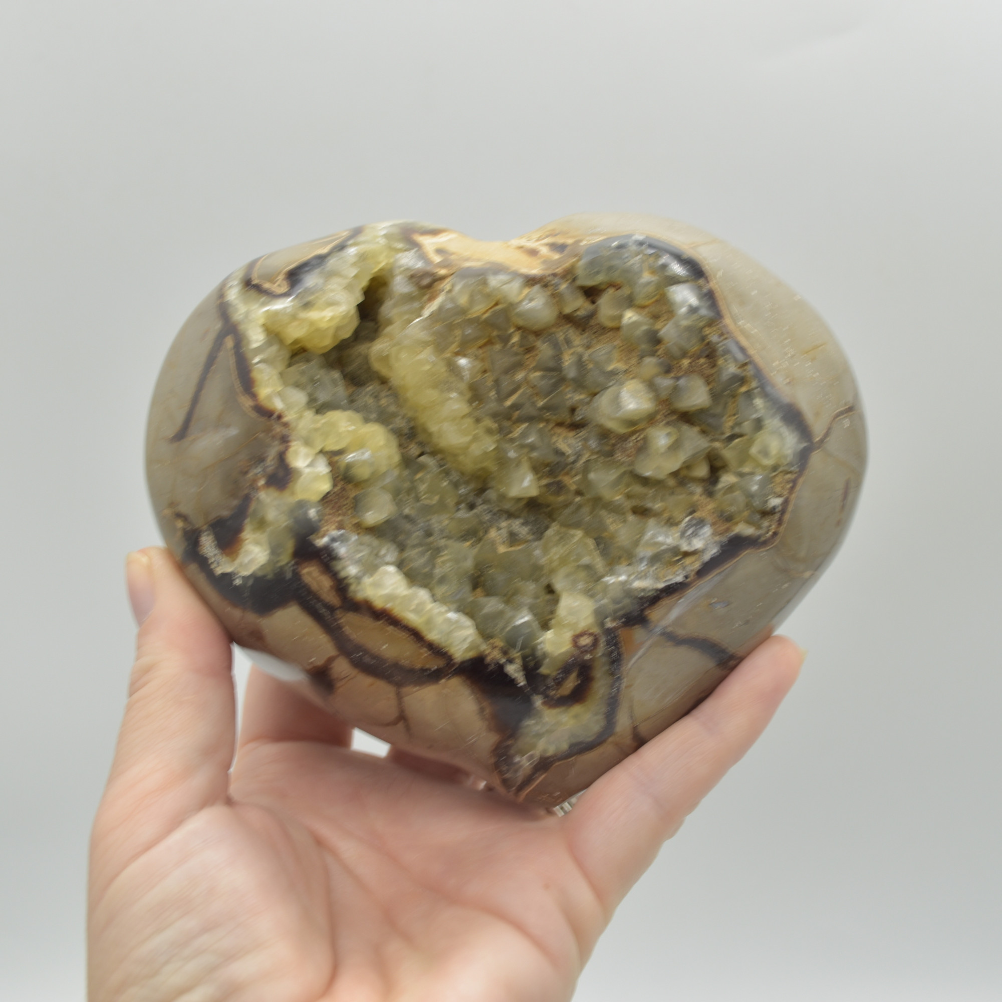 Large Septarian (AKA Dragon Stone) Crystal Puffy Heart - 10.5cm - 1160 grams #03 - Image 5