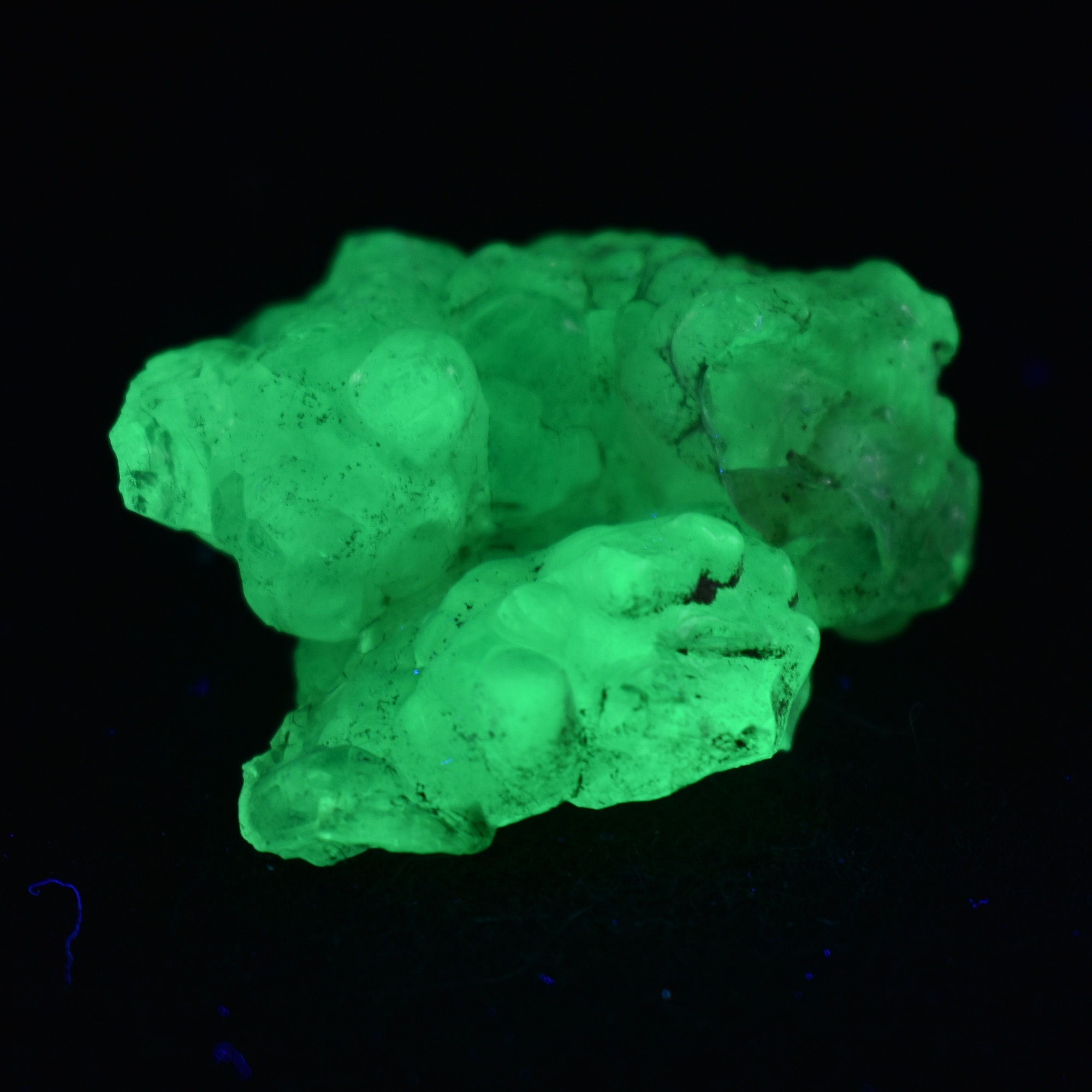 Mexican Hyalite Opal Collector Grade Specimen Stone - UV Reactive Fluorescent - 17 grams #11
