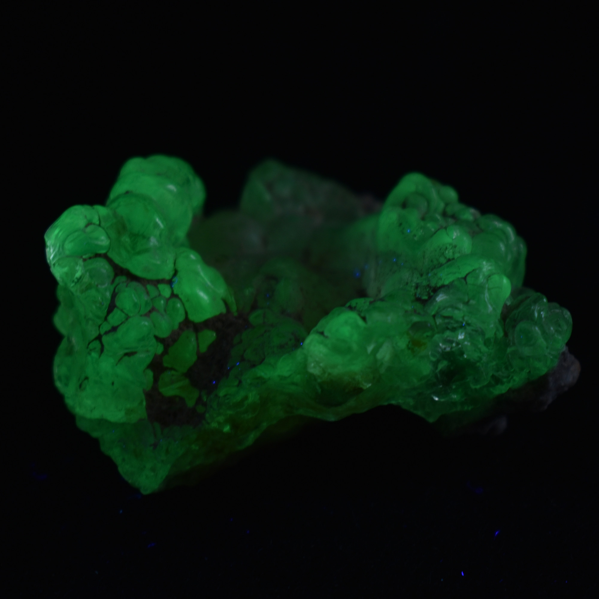Mexican Hyalite Opal Collector Grade Specimen Stone - UV Reactive Fluorescent - 24 grams #16