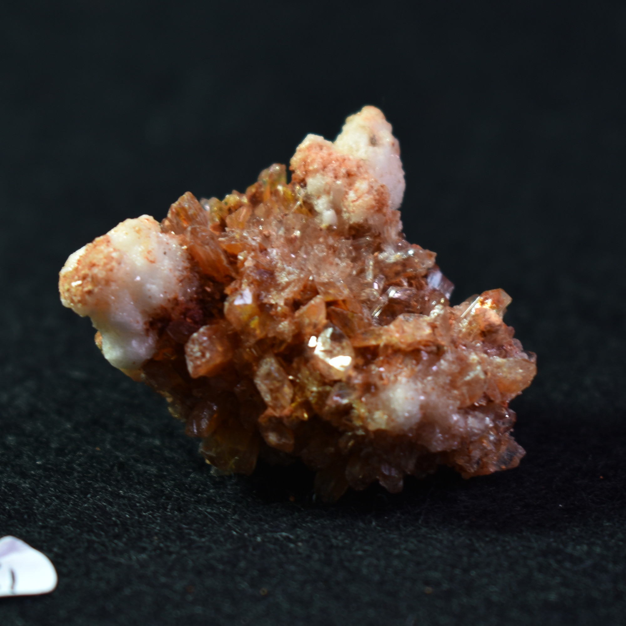 Creedite Crystal Cluster Specimen with Gearksutite from Navidad Mine, Durango Mexico - 21 grams #31 - Image 2