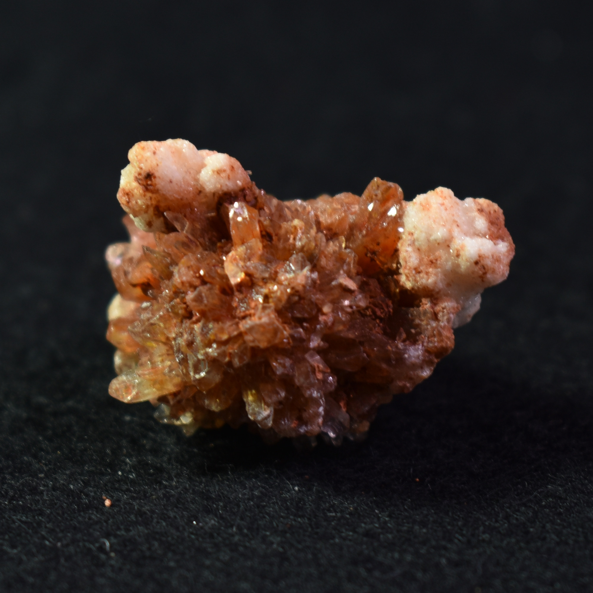 Creedite Crystal Cluster Specimen with Gearksutite from Navidad Mine, Durango Mexico - 21 grams #31 - Image 3