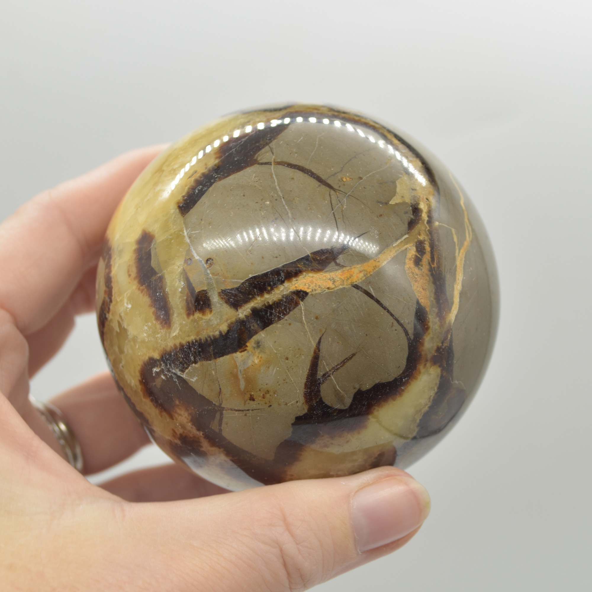 Septarian (AKA Dragon Stone) Crystal Sphere Ball - 576 grams - 7cm #03 - Image 4