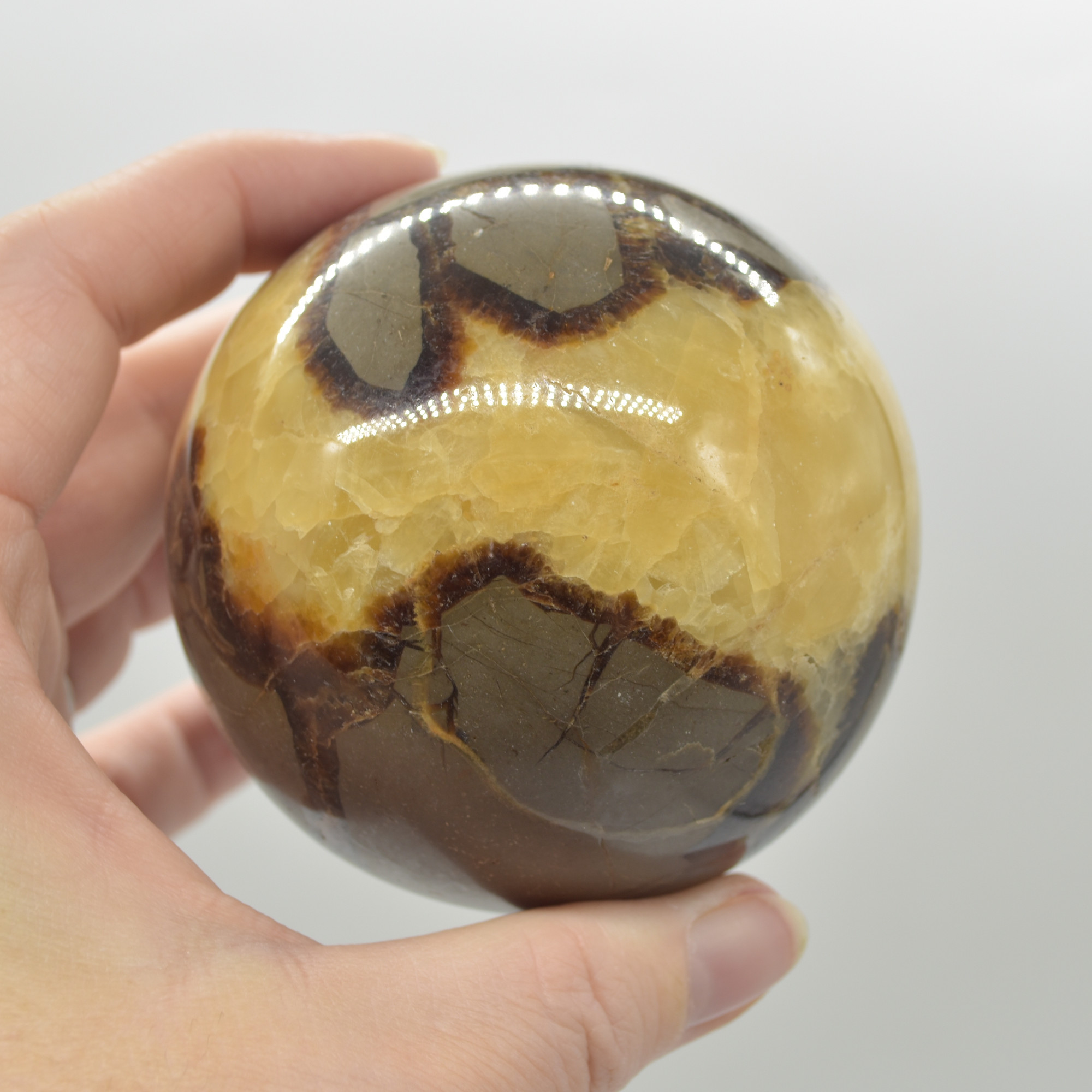 Septarian (AKA Dragon Stone) Crystal Sphere Ball - 547 grams - 7cm #04 - Image 6
