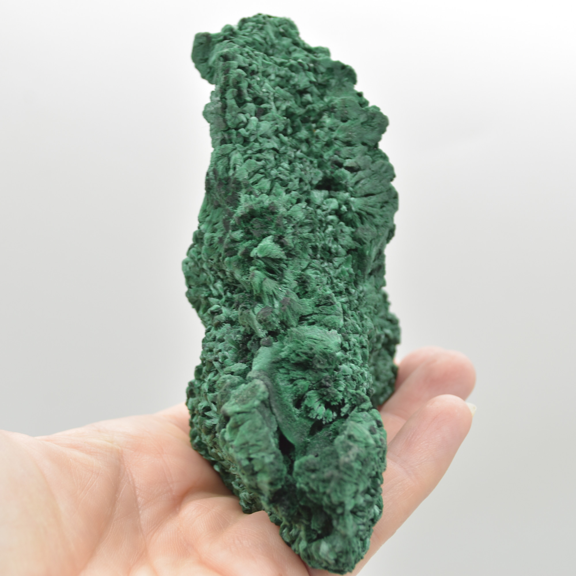 Yangchun Malachite Specimen - Botryoidal Malachite - Velvet Malachite - Fibrous Malachite - 366 grams #11 - Image 5
