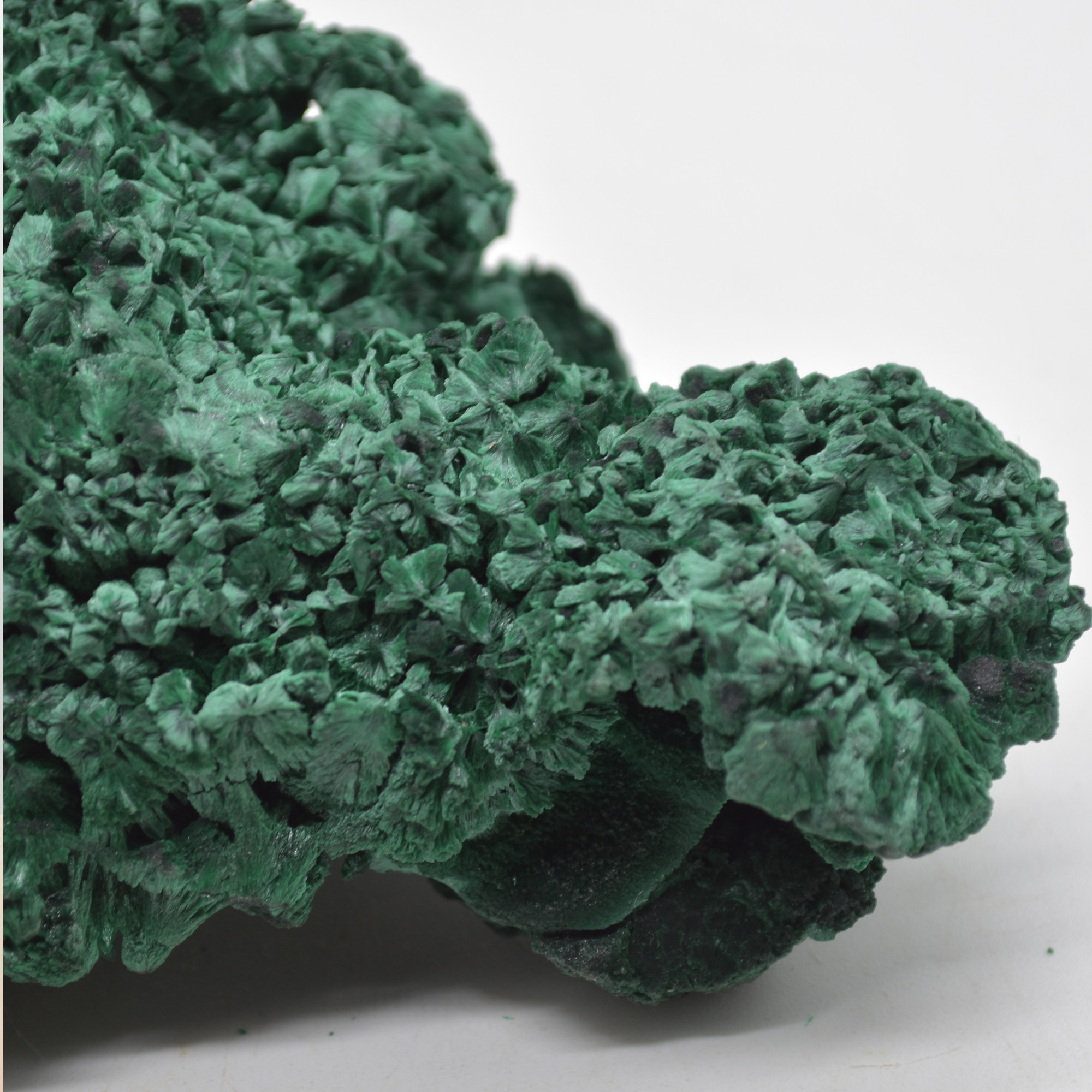 Yangchun Malachite Specimen - Botryoidal Malachite - Velvet Malachite - Fibrous Malachite - 366 grams #11 - Image 6