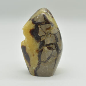 Septarian (AKA Dragon Stone) Crystal Freeform - 207 grams #01