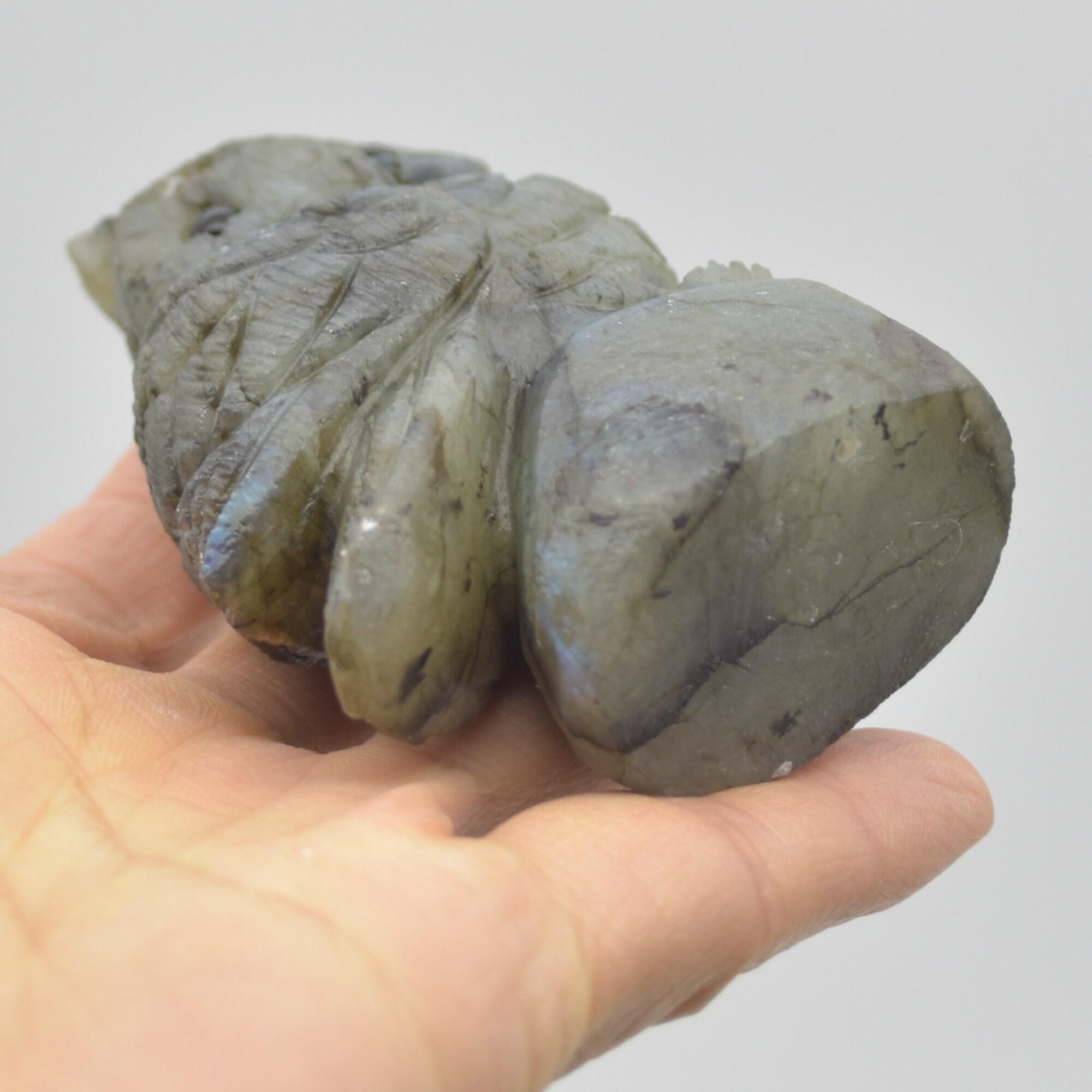 Labradorite Crystal Carved Owl - 9cm - 211 grams #18 - Image 4