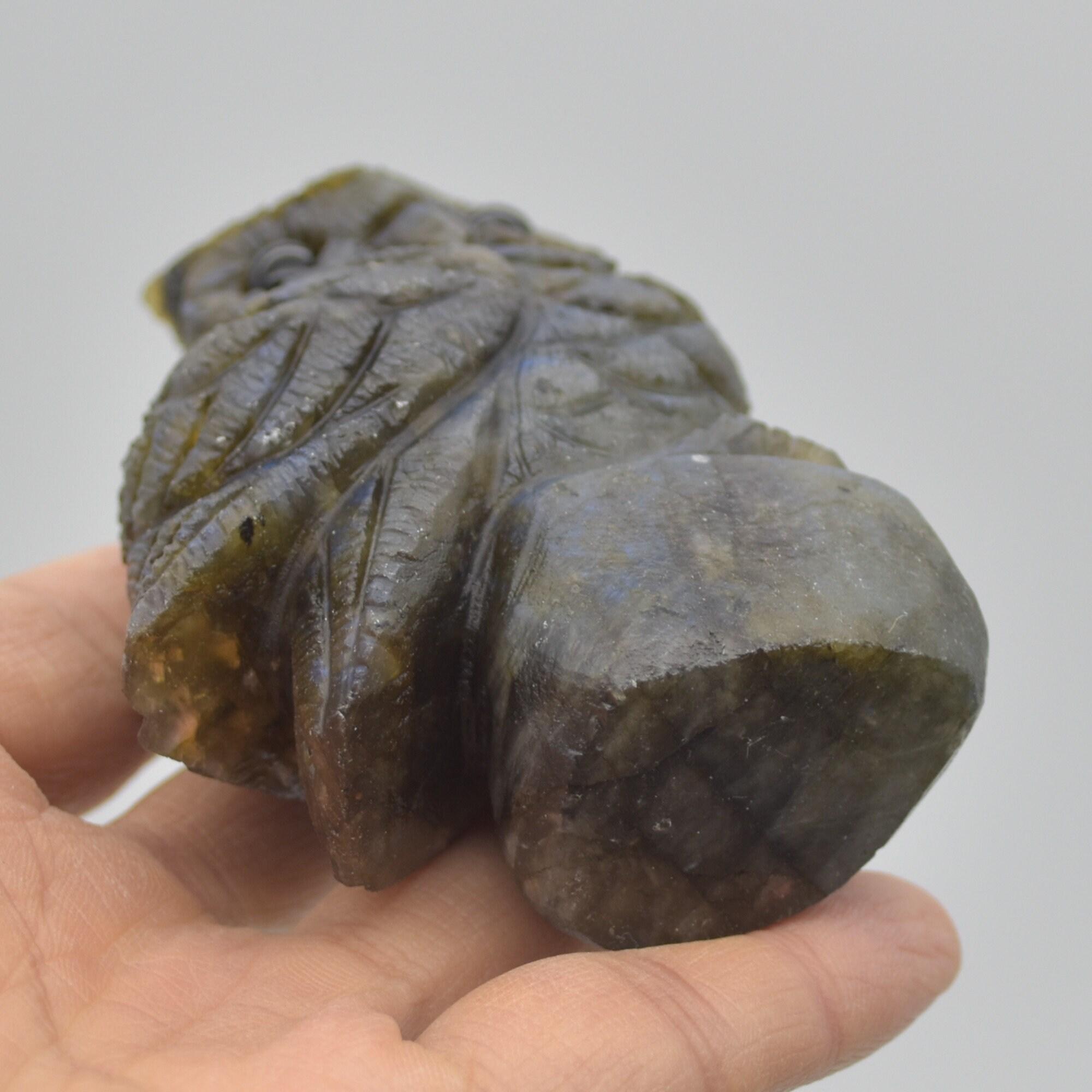 Labradorite Crystal Carved Owl - 9cm - 244 grams #17 - Image 3