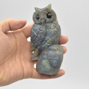 Labradorite Crystal Carved Owl - 11cm - 319 grams #12