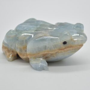 Blue Onyx (Lemurian Aquatine Calcite) Crystal Carved Frog / Toad - 289 grams #04