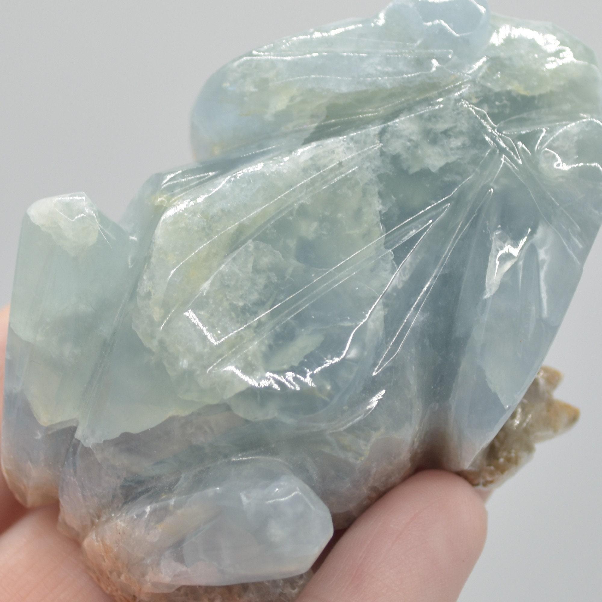 Blue Onyx (Lemurian Aquatine Calcite) Crystal Carved Frog / Toad - 131 grams #02 - Image 9