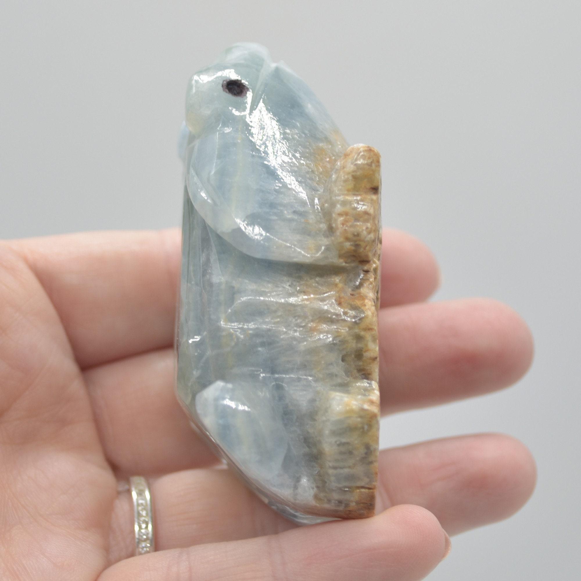 Blue Onyx (Lemurian Aquatine Calcite) Crystal Carved Frog / Toad - 131 grams #02 - Image 5