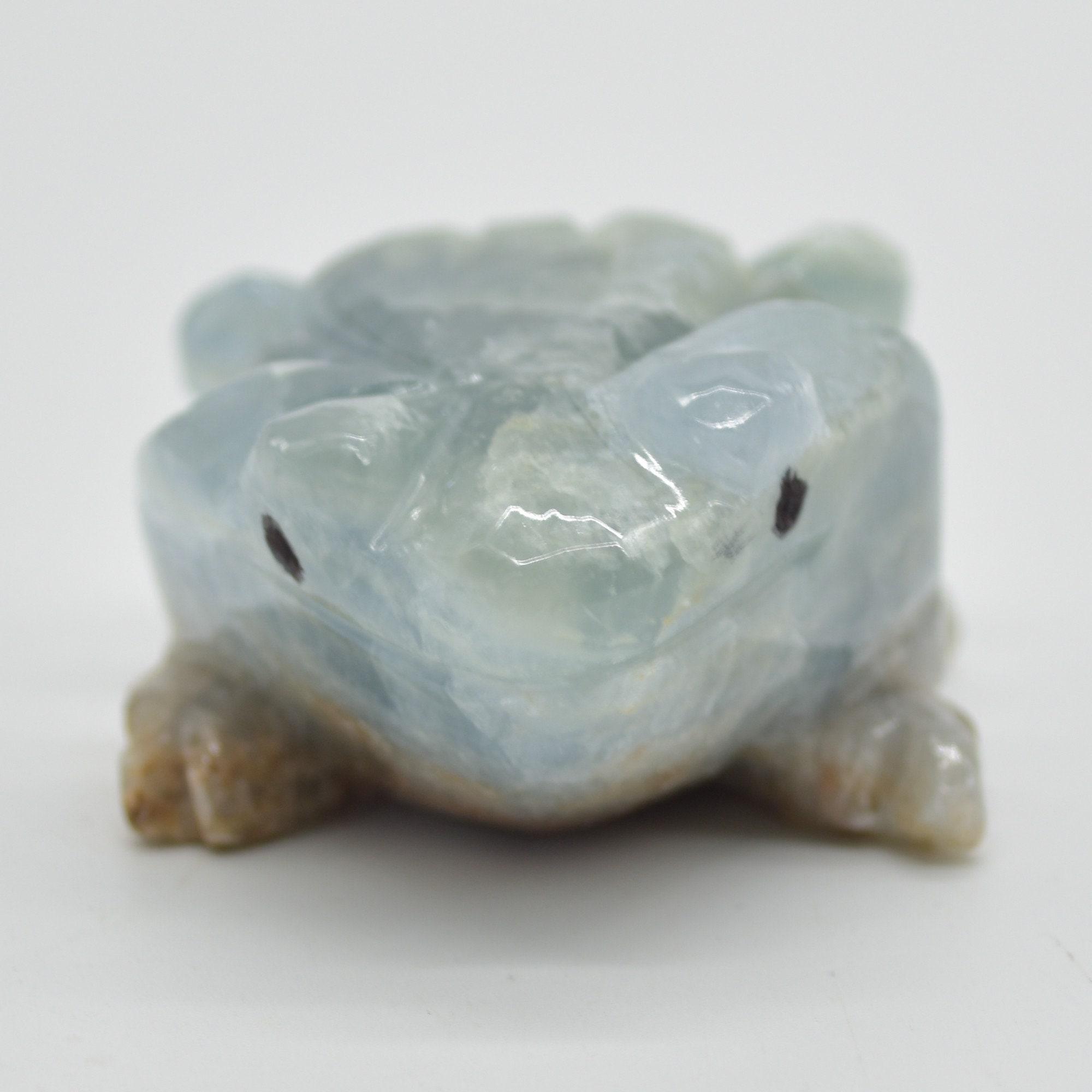 Blue Onyx (Lemurian Aquatine Calcite) Crystal Carved Frog / Toad - 131 grams #02 - Image 2