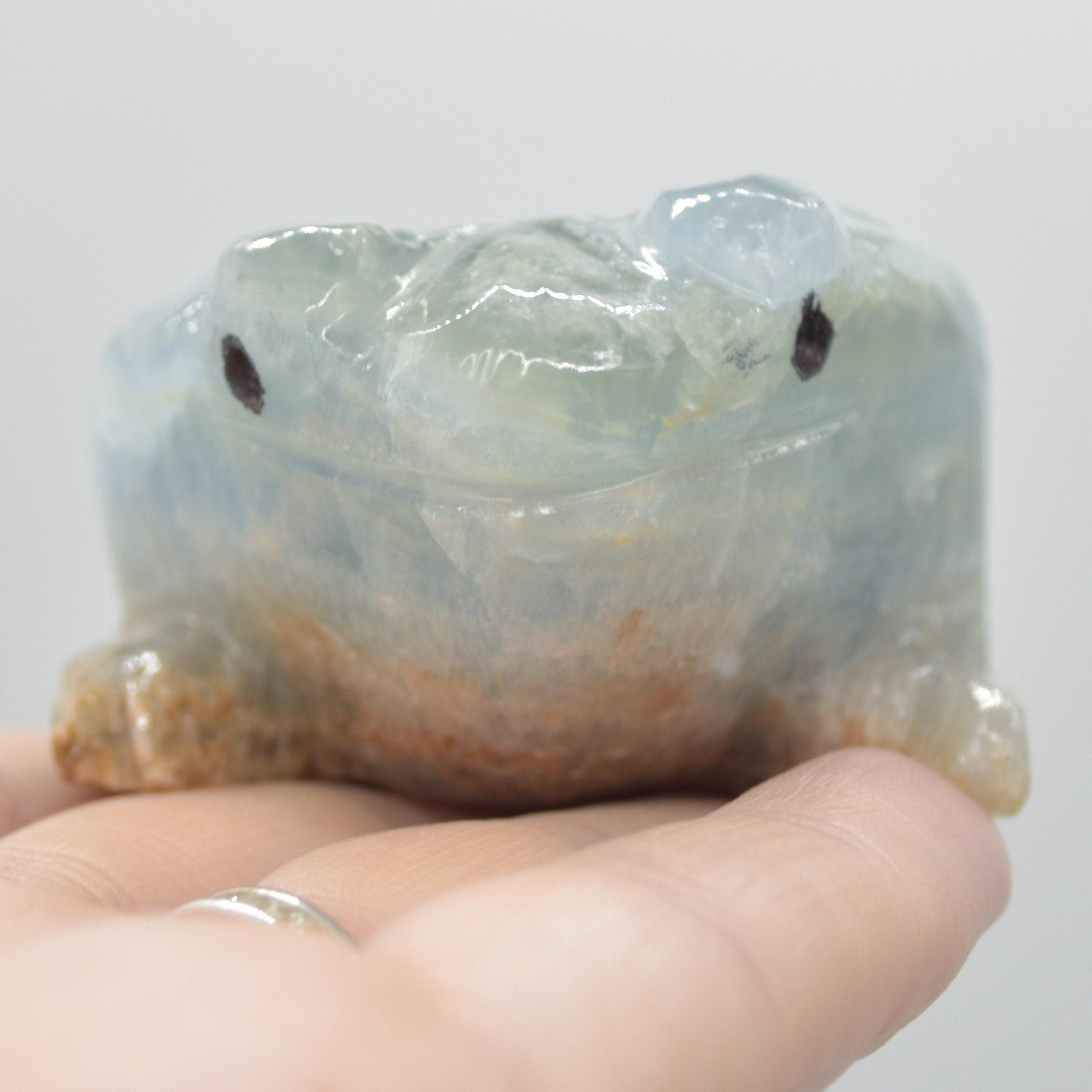 Blue Onyx (Lemurian Aquatine Calcite) Crystal Carved Frog / Toad - 131 grams #02 - Image 8