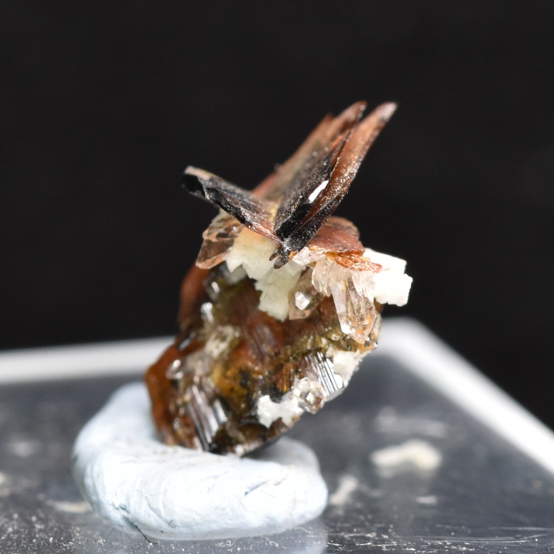 Red Brookite Crystal Specimen with Quartz RARE from Pakistan - 2ct, 0.47grams - 1.2cm - Image 4