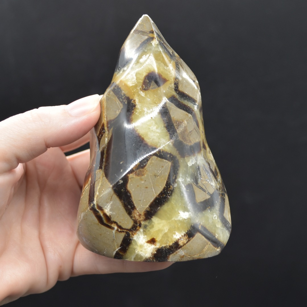 Septarian (AKA Dragon Stone) Crystal Flame Freeform - 2 Sizes - Image 3