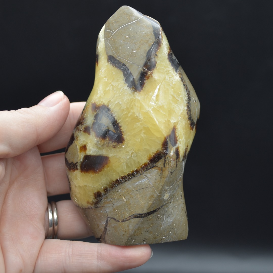 Septarian (AKA Dragon Stone) Crystal Flame Freeform - 4 Sizes - Image 5