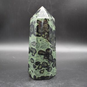 Kambaba Jasper Crystal Point, Tower, Wand - 16cm - 980 grams