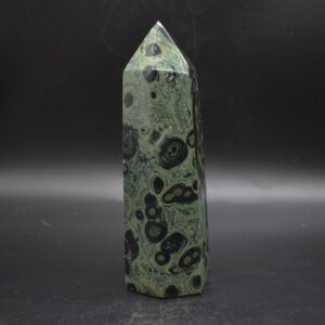 Kambaba Jasper Crystal Point, Tower, Wand - 17.5cm - 837 grams