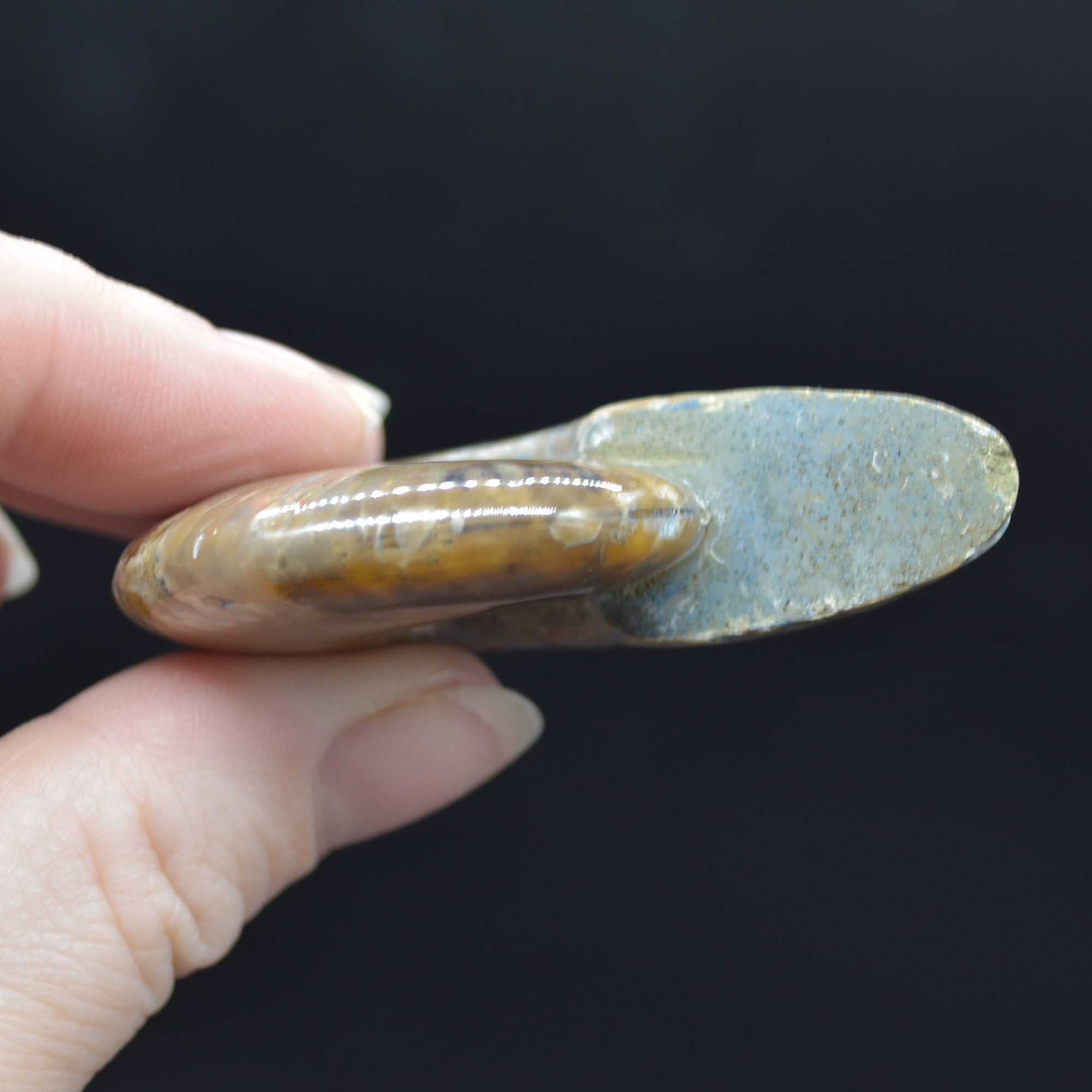Red Fire Iridescent Ammonite Cleoniceras Fossil from Madagascar - 5.4cm - Image 3