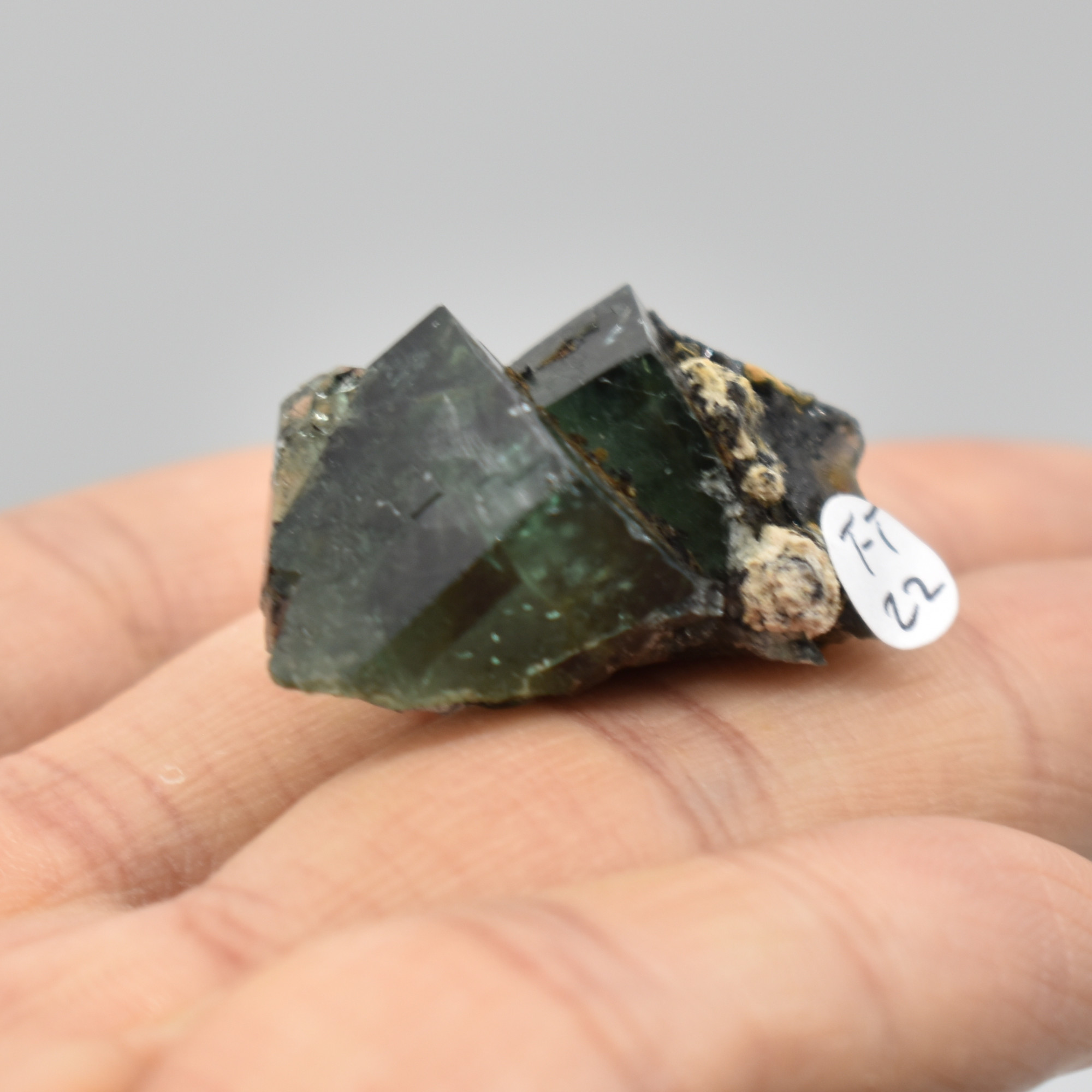 Diana Maria Fluorite Raw Crystal Cluster Specimen - Sourced UK - 2 sizes - Image 3