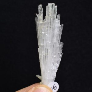 Synergy 12 Crystals