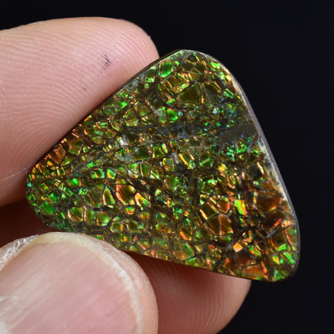Canadian Natural Ammolite, Ammonite Freeform Polished Cabochon Specimen - 2.4cm x 2.3cm - 4.2 grams - Image 3
