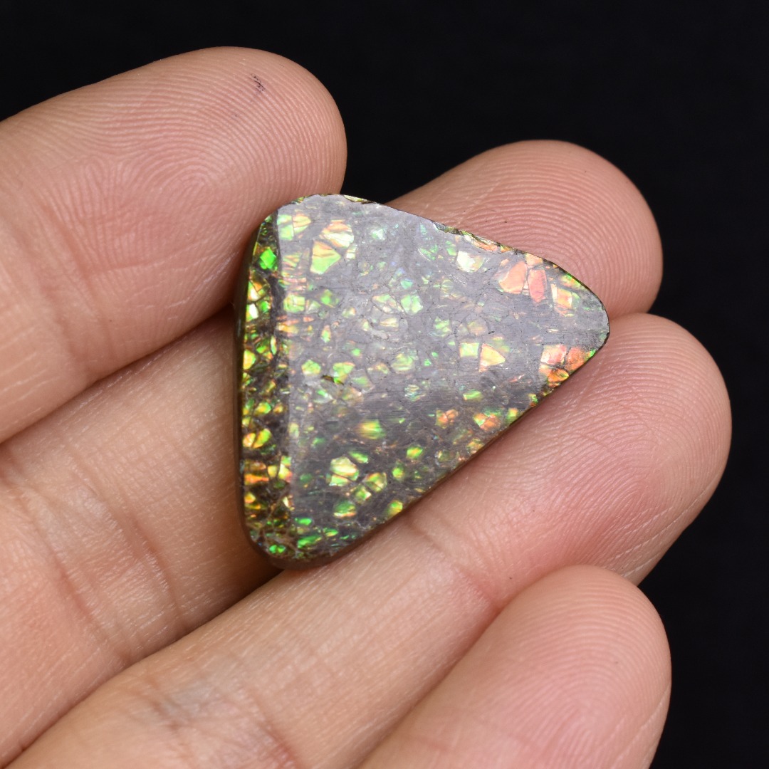 Canadian Natural Ammolite, Ammonite Freeform Polished Cabochon Specimen - 2.4cm x 2.3cm - 4.2 grams - Image 4