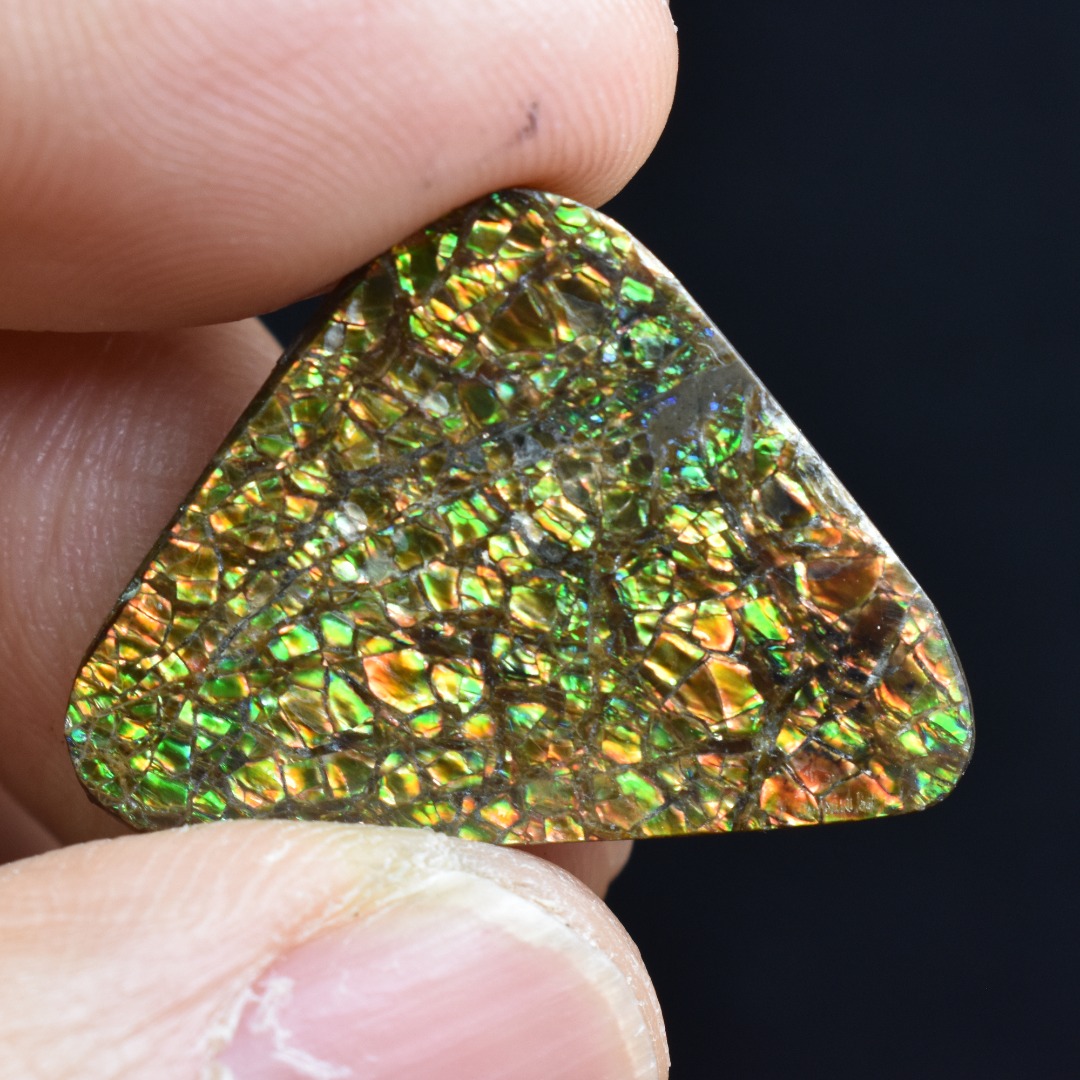 Canadian Natural Ammolite, Ammonite Freeform Polished Cabochon Specimen - 2.4cm x 2.3cm - 4.2 grams - Image 2