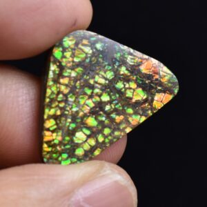 Canadian Natural Ammolite, Ammonite Freeform Polished Cabochon Specimen - 2.4cm x 2.3cm - 4.2 grams