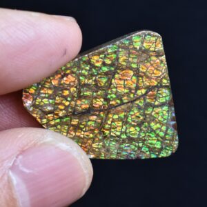 Canadian Natural Ammolite, Ammonite Freeform Polished Cabochon Specimen - 2.7cm x 2.3cm - 4.7 grams