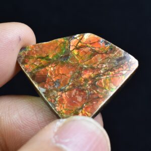 Canadian Natural Ammolite, Ammonite Freeform Polished Cabochon Specimen - 2.6cm x 2.5cm - 5.3 grams