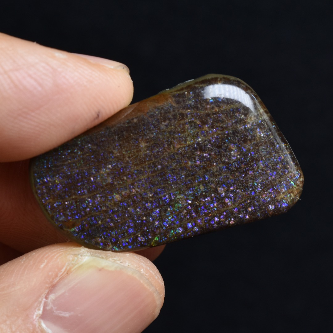 Canadian Natural Ammolite, Ammonite Freeform Polished Cabochon Specimen - 3.2cm x 1.9cm - 5.2 grams
