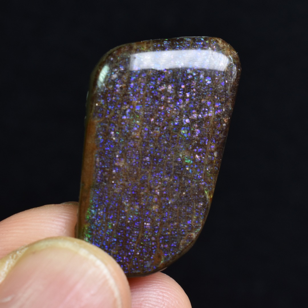 Canadian Natural Ammolite, Ammonite Freeform Polished Cabochon Specimen - 3.2cm x 1.9cm - 5.2 grams - Image 3