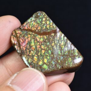 Canadian Natural Ammolite, Ammonite Freeform Polished Cabochon Specimen - 3.3cm x 2.2cm - 11 grams