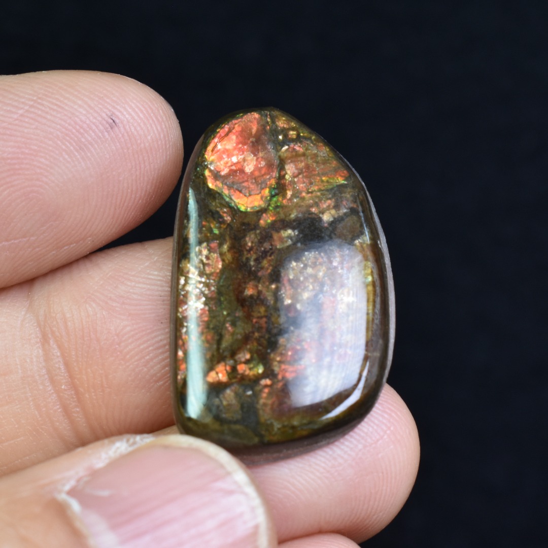 Canadian Natural Ammolite, Ammonite Freeform Polished Cabochon Specimen - 2.8cm x 1.8cm - 3.1 grams - Image 2