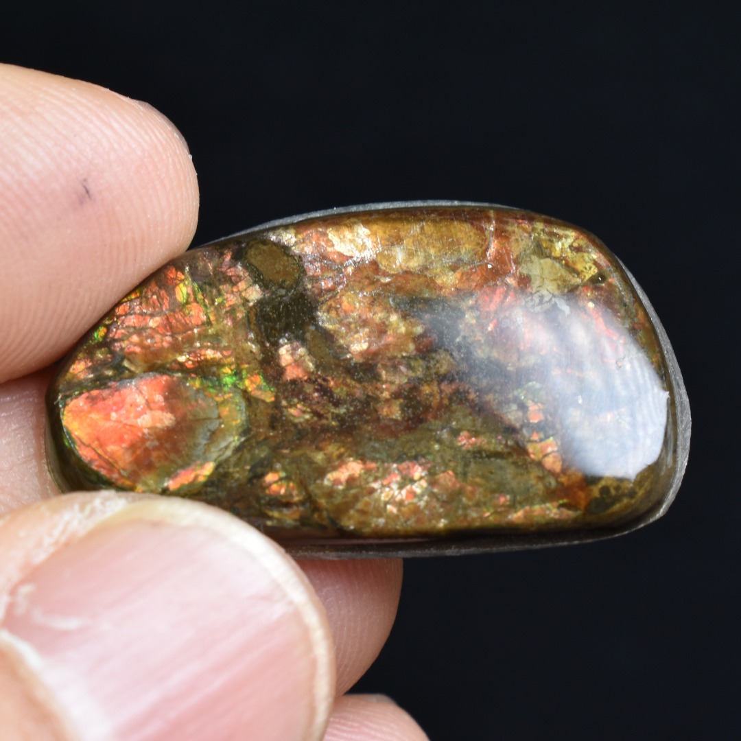 Canadian Natural Ammolite, Ammonite Freeform Polished Cabochon Specimen - 2.8cm x 1.8cm - 3.1 grams - Image 3