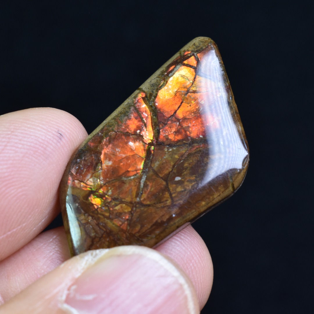 Canadian Natural Ammolite, Ammonite Freeform Polished Cabochon Specimen - 3.5cm x 1.8cm - 4.5 grams - Image 3
