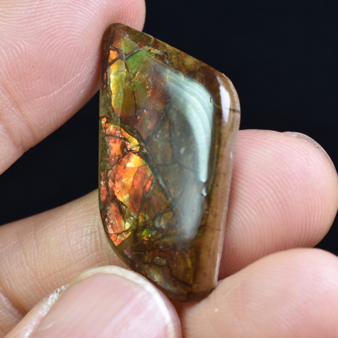 Canadian Natural Ammolite, Ammonite Freeform Polished Cabochon Specimen - 3.5cm x 1.8cm - 4.5 grams - Image 6