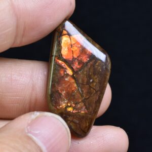 Canadian Natural Ammolite, Ammonite Freeform Polished Cabochon Specimen - 3.5cm x 1.8cm - 4.5 grams