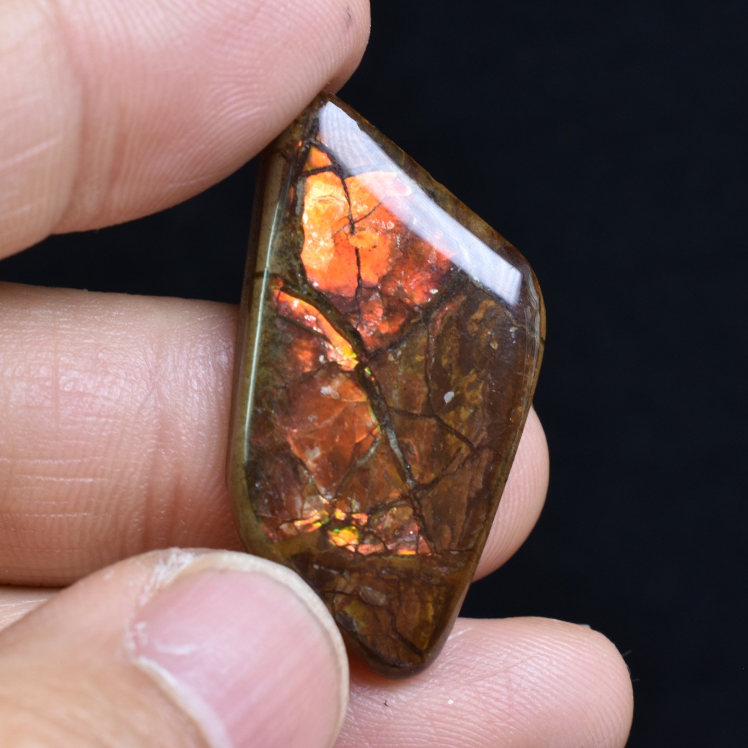 Canadian Natural Ammolite, Ammonite Freeform Polished Cabochon Specimen - 3.5cm x 1.8cm - 4.5 grams