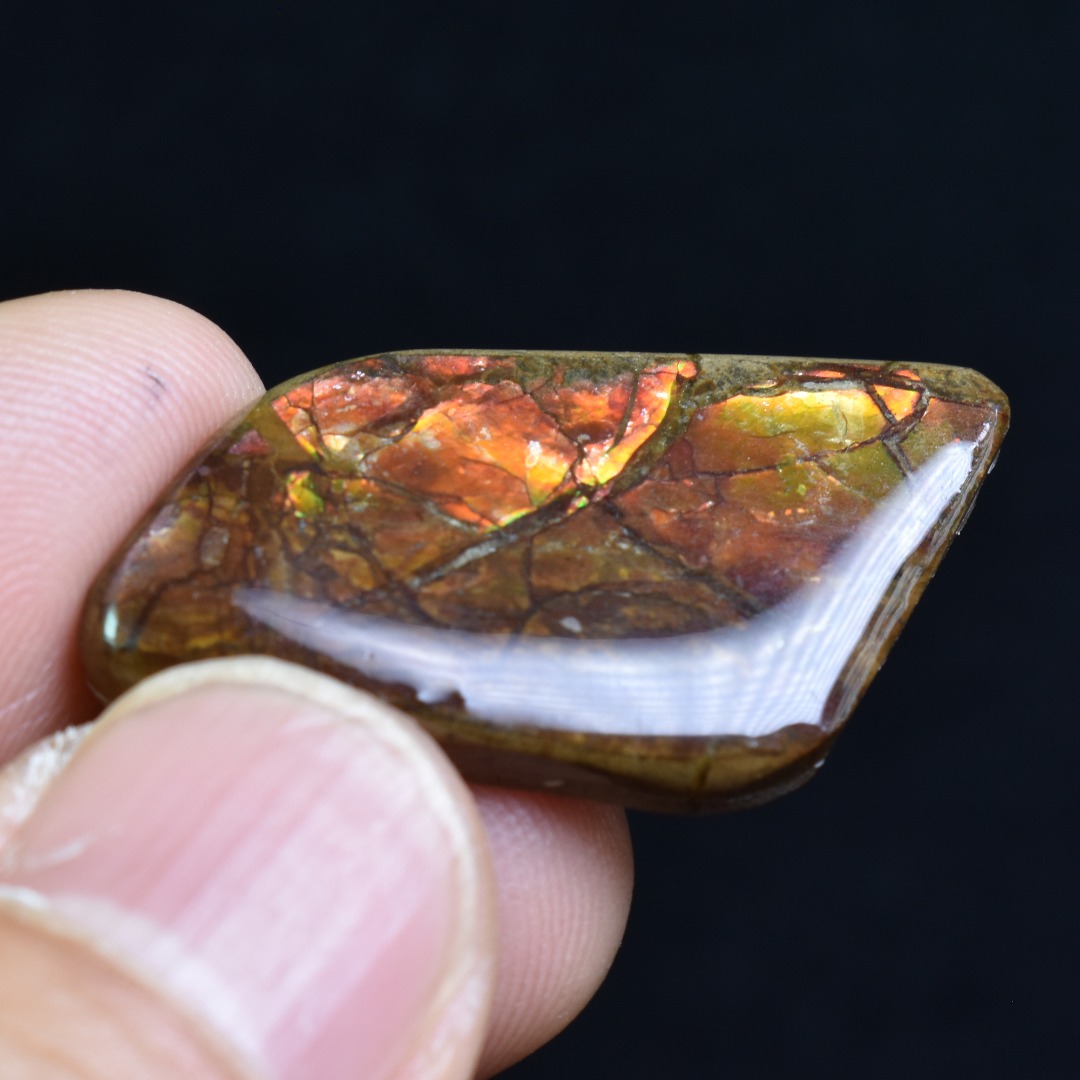 Canadian Natural Ammolite, Ammonite Freeform Polished Cabochon Specimen - 3.5cm x 1.8cm - 4.5 grams - Image 2