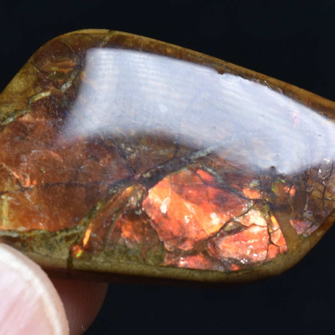 Canadian Natural Ammolite, Ammonite Freeform Polished Cabochon Specimen - 3.5cm x 1.8cm - 4.5 grams - Image 4
