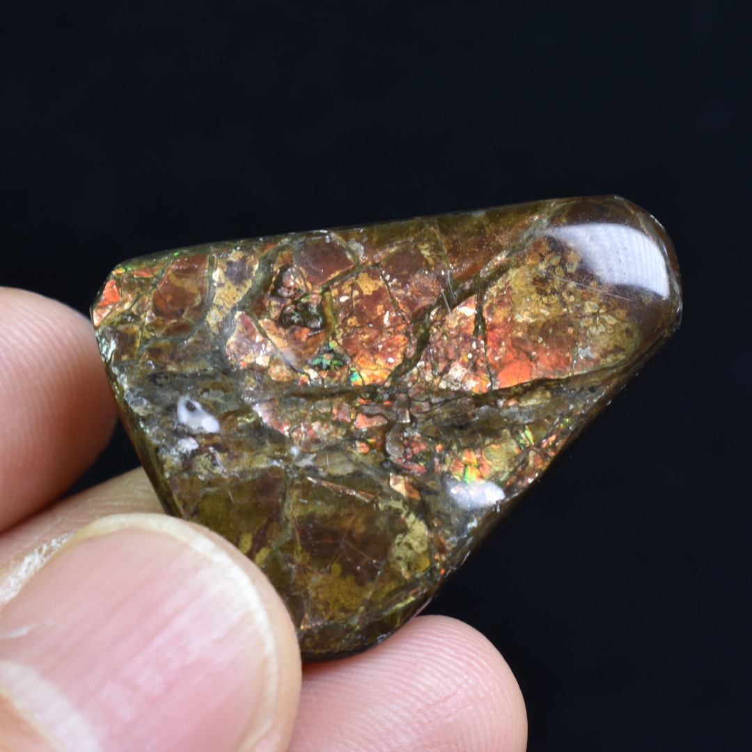 Canadian Natural Ammolite, Ammonite Freeform Polished Cabochon Specimen - 3.2cm x 2.2cm - 12.8 grams - Image 3