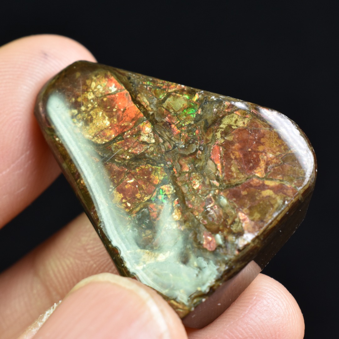 Canadian Natural Ammolite, Ammonite Freeform Polished Cabochon Specimen - 3.2cm x 2.2cm - 12.8 grams